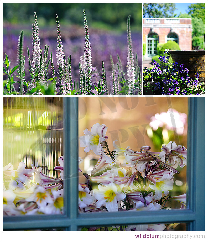 Flowers at Filoli