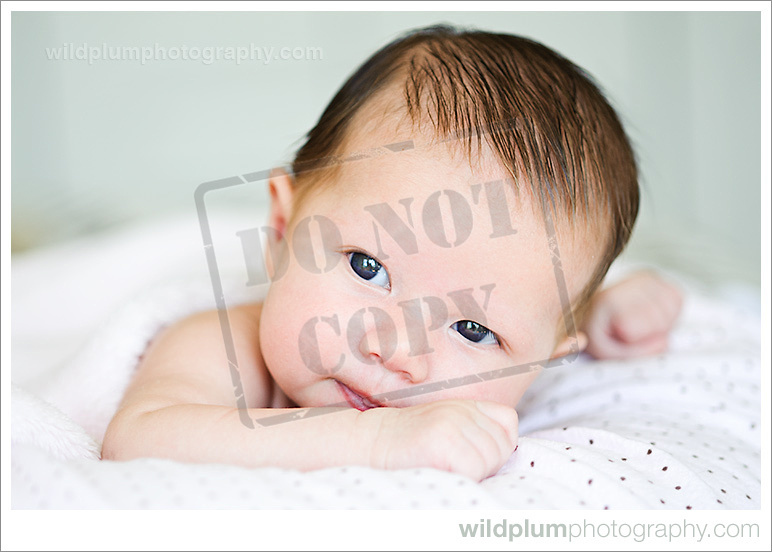 Wild Plum Photography | San Francisco Newborn Portrait