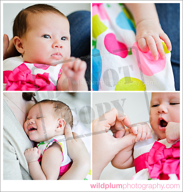 Wild Plum Photography Newborn Photo