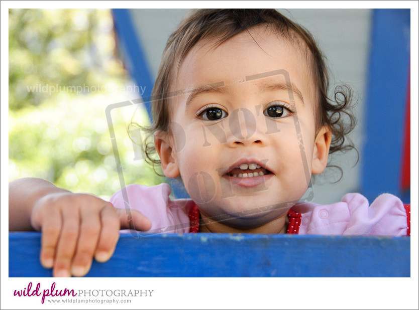 Fairyland Toddler Portrait