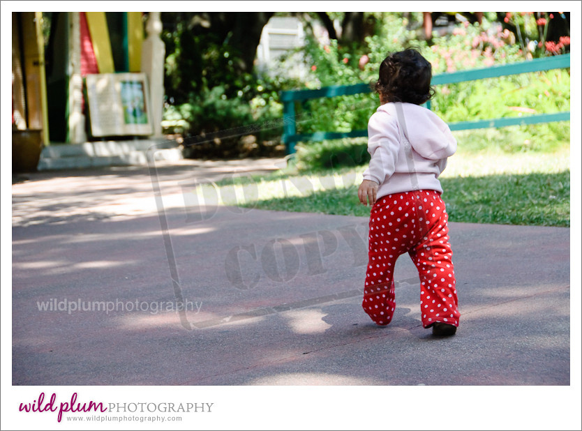 Fairyland Toddler Portrait