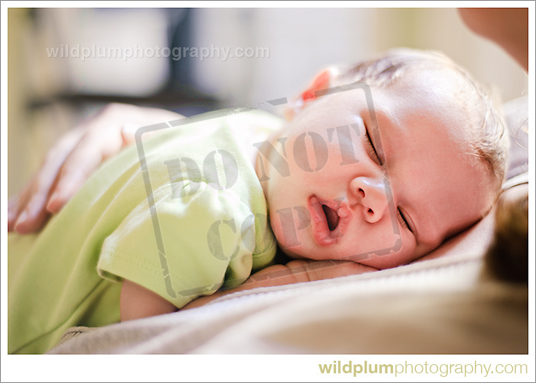 Wild Plum Photography | San Francisco Newborn Portrait