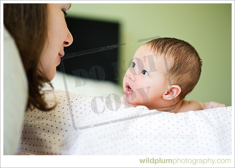 Wild Plum Photography | San Francisco Newborn Photographer